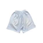 Blue Hellstar Studios Flame Shorts Back