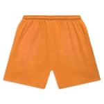 Orange Hellstar Studios Flame Shorts Back
