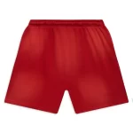 Red Hellstar Studios Flame Shorts Back